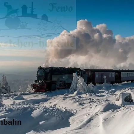 Fewo Eulennestchen-Harz Altenau  Exterior photo