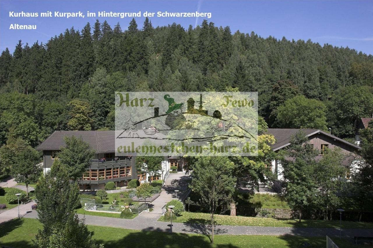 Apartment Eulennestchen-harz Altenau (Lower-Saxony)