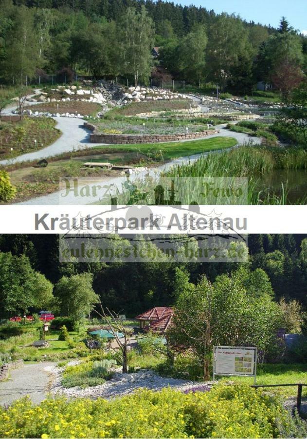 Eulennestchen-harz *