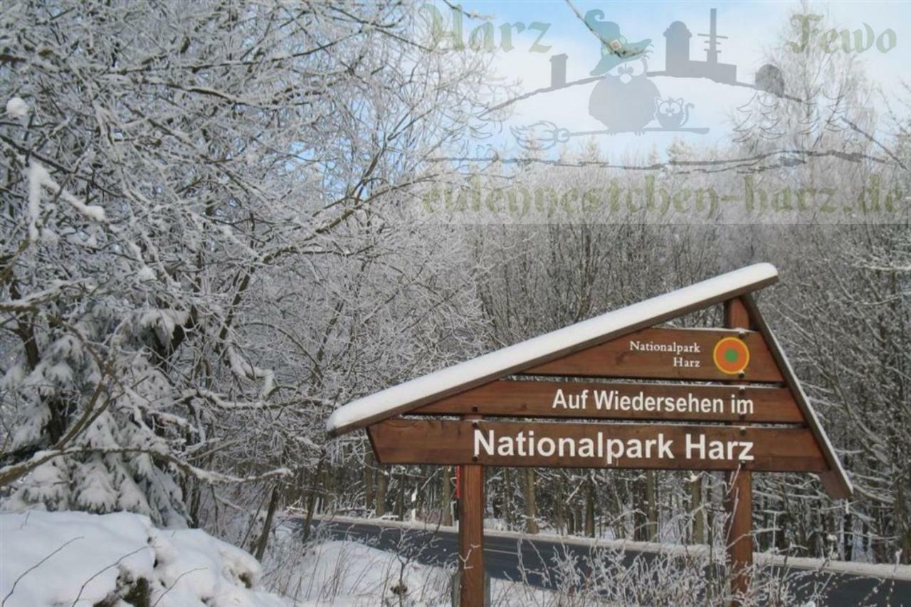 Eulennestchen-harz Apartment Altenau (Lower-Saxony)